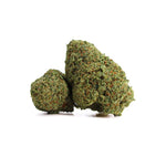 Deux fleurs de CBD de la variété X HAZE