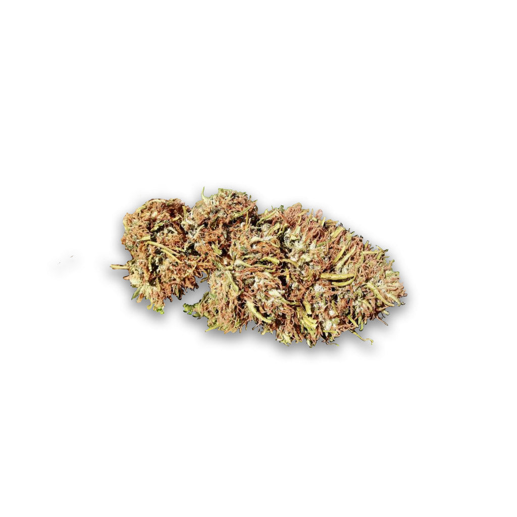 Fleurs de CBD de la variété Vercors Kush