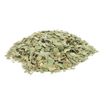 Feuilles d'Eucalyptus à Clermont-Ferrand