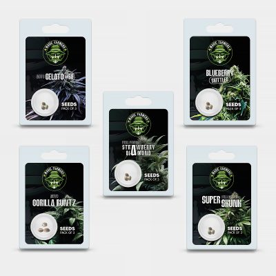 Pack de 3 graines THC Gelato