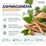 Ashwagandha Shoden Herbiane Clermont-Ferrand